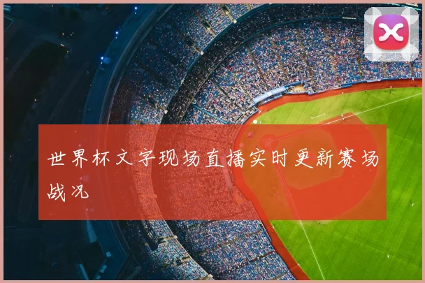 世界杯文字现场直播实时更新赛场战况