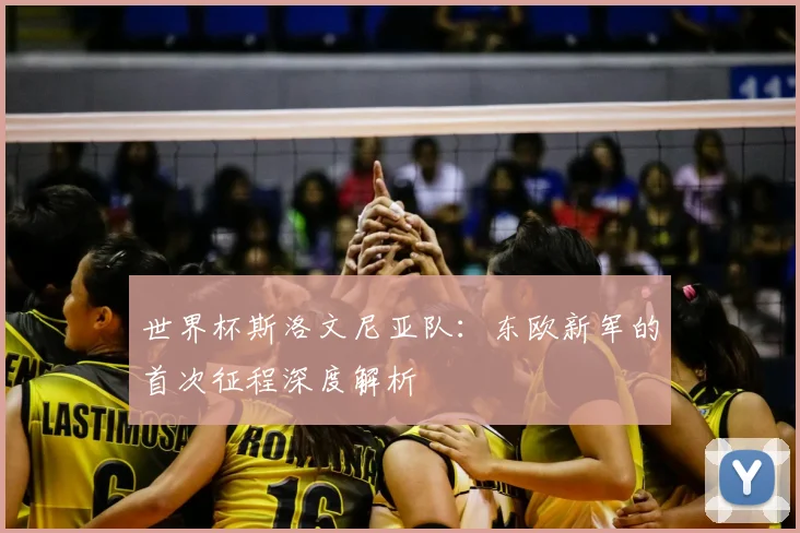 世界杯斯洛文尼亚队:东欧新军的首次征程深度解析