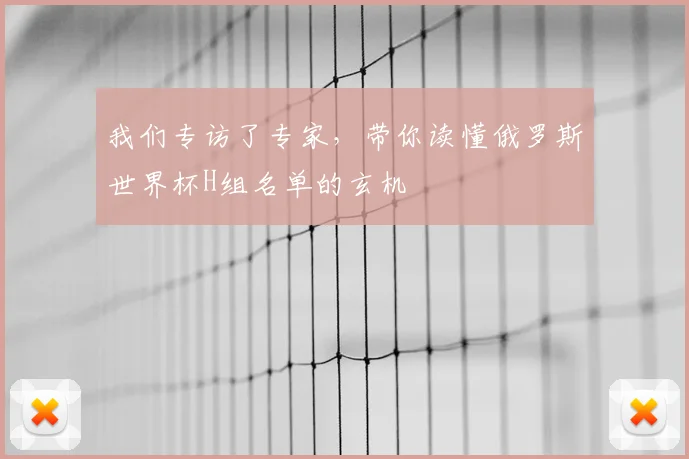 我们专访了专家,带你读懂俄罗斯世界杯H组名单的玄机
